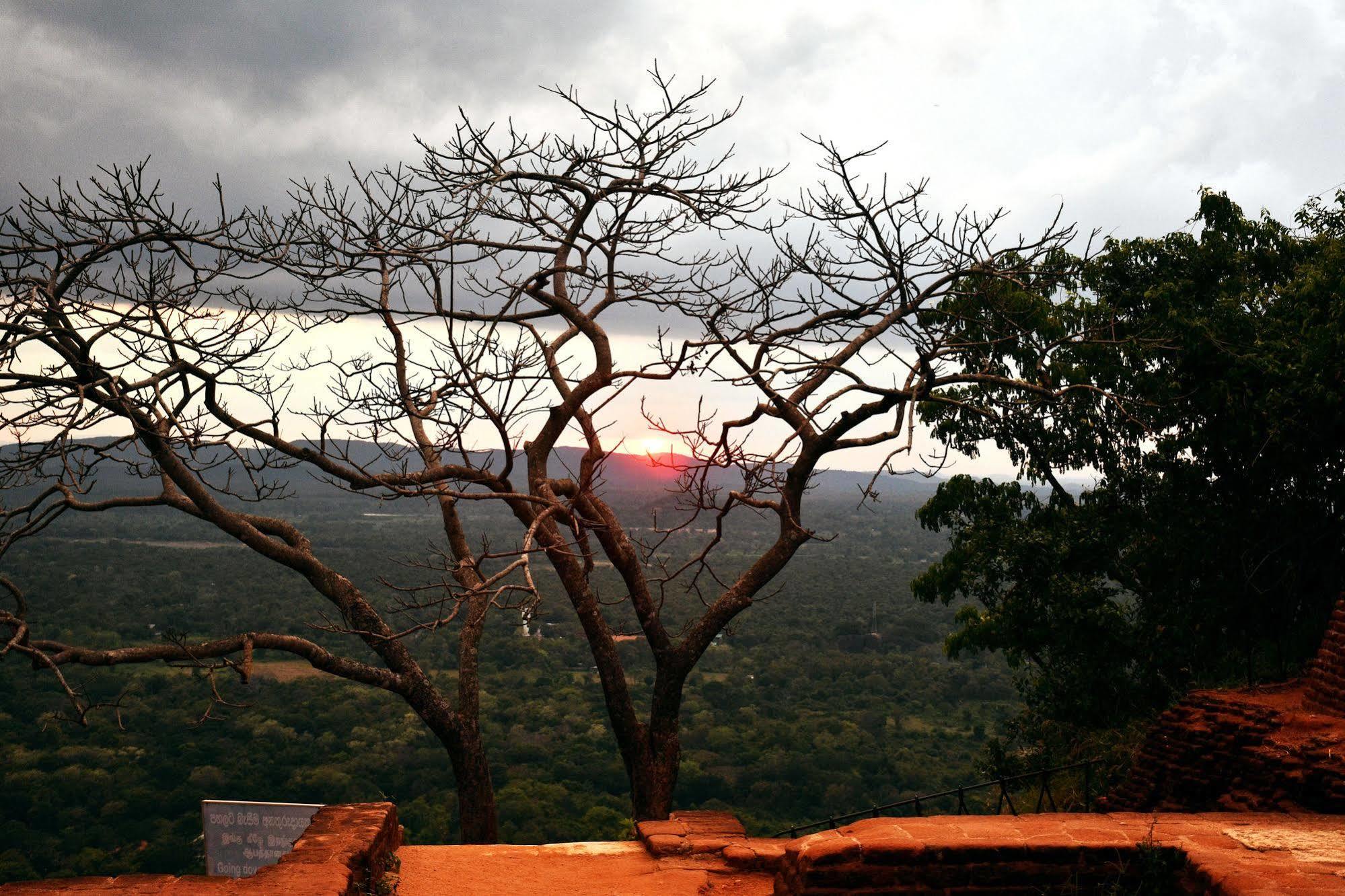 Cassandra Culture Resort Sigiriya Luaran gambar